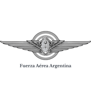 Fuerza Aerea